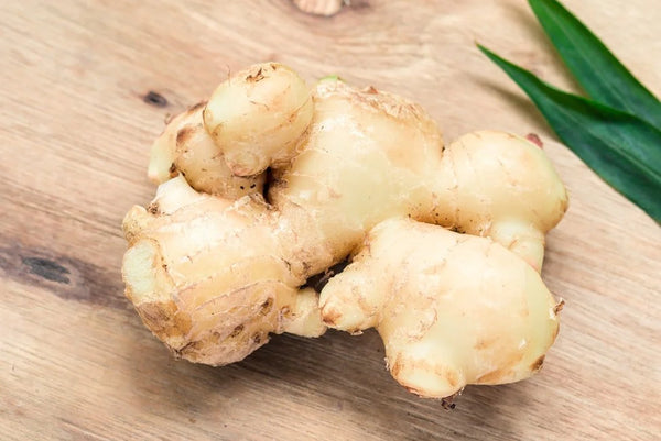 Ginger Root