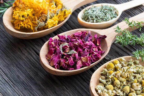 Herbal Science article