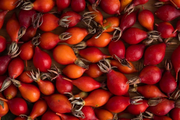 Rose Hips